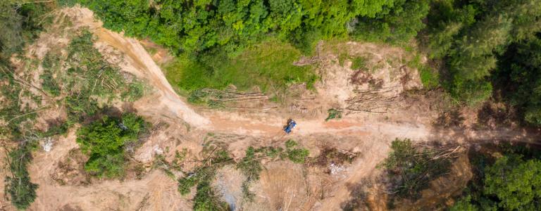 Top down aerial view of deforestation and logging in a tropical rainforest.