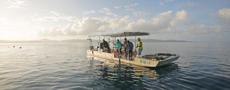 Fisher men and women farming pearl oysters on a boat in Fiji