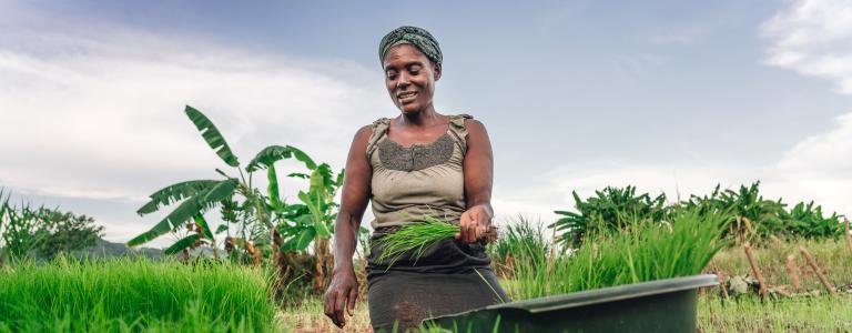 Woman working on a farm in Malawi
