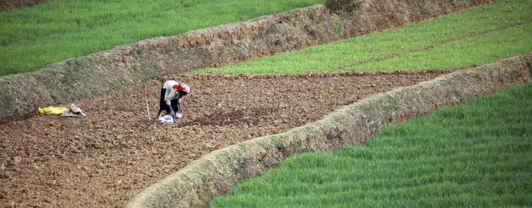 Woman planting seeds on a farm