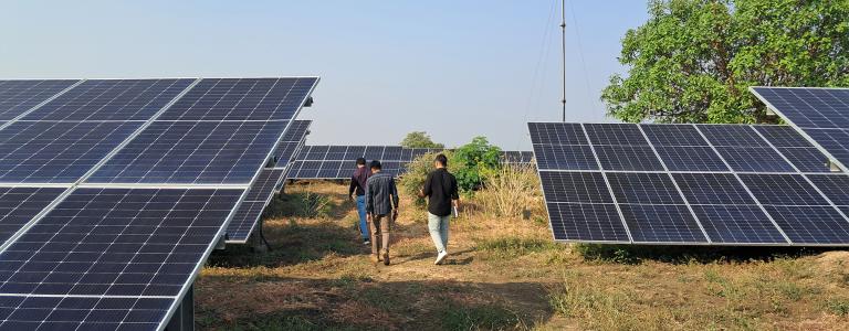 People walk between solar panels in a field.