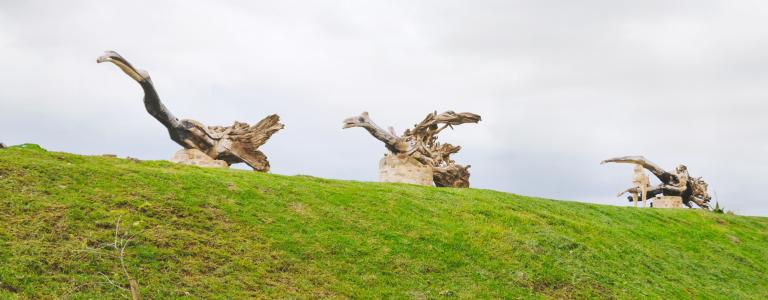 SUNCASA | Birds sculptures made of logs from the Jukskei River in Johannesburg.