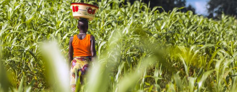Local woman with a small child passing through the green field.