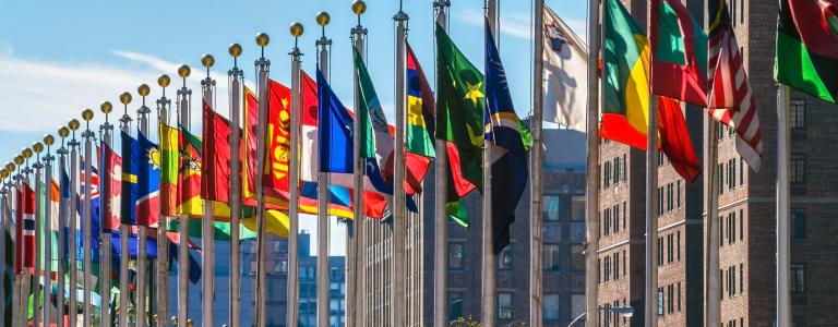 Flags of all countries shown in front of buildings in New York