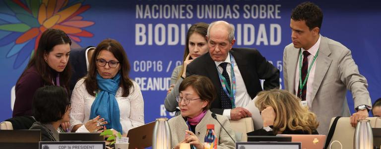 The Presidency and Secretariat consulting during the morning plenary of 26 February 2025 at the resumed session of the 2024 UN Biodiversity Conference.