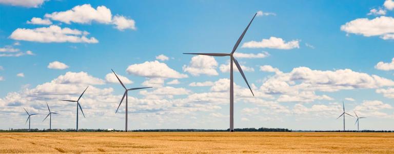 Wind turbines stand in a field against a blue sky