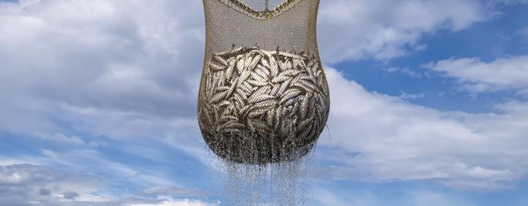 Fishing net in the Pacific