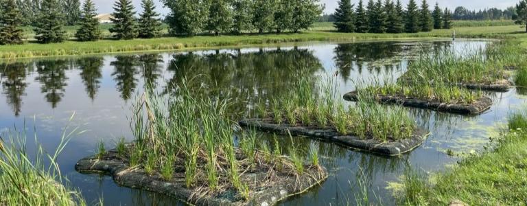 Floating treatment wetlands in the RM of Springfield, Manitoba