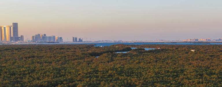 SUNCASA | Abu Dhabi Skyline. IUCN World Conservation Congress