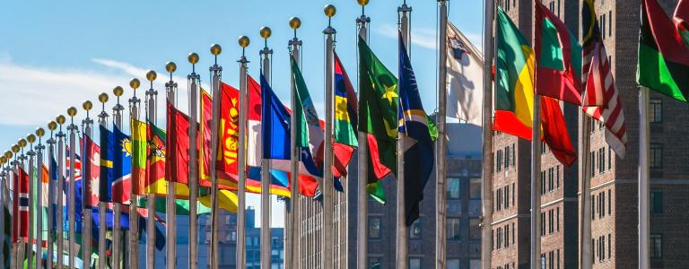 Flags of many countries fly outside the United Nations in New York.