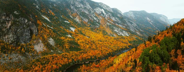 Orange trees in mountain landscape.