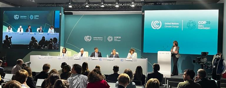 Speakers sit on a panel at the COP29 COFFIS press conference. Patricia Fuller stands at a podium. 