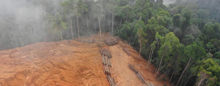 Logging. Aerial drone view of deforestation environmental problem.