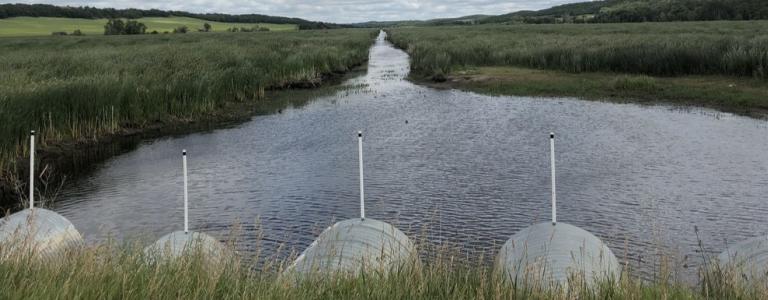 An image of a water retention project in Manitoba.