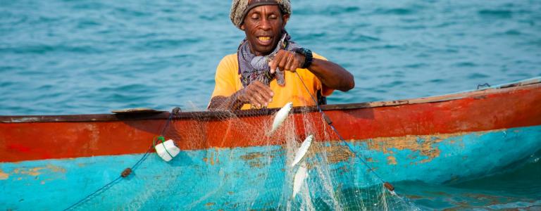 Man in a colorful boat checking a net for fish.