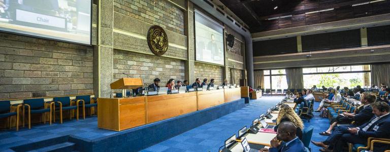 Delegates discuss at the UN Convention on Tax Third Round of Negotiations