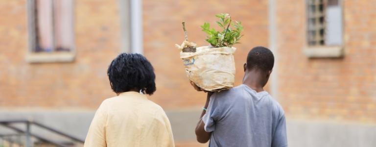 SUNCASA | Man and women planting trees during a Umuganda, Oct 2025. (Photo: RYWP)
