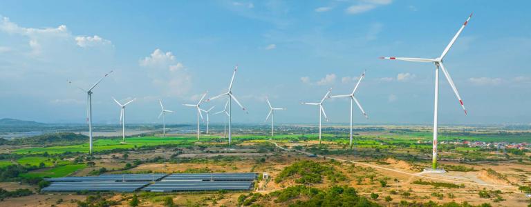 Wind turbines stand in a rice field in Vietnam