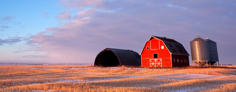 Landscape of a red barn and silos in a farm field in the Prairies. Sunlight hits the barn and skims across the field.
