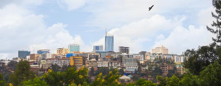 View of a city with trees in the foreground and high buildings in the background