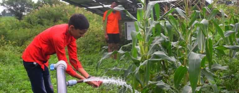 Rural boy drinks water on water jet, agricultural equipment for field irrigation, solar panel's, corn plants, rain fog.