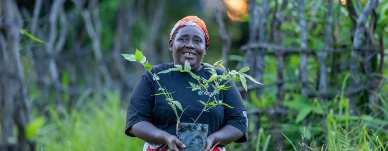 Portrait of worker posing with a small to medium plant