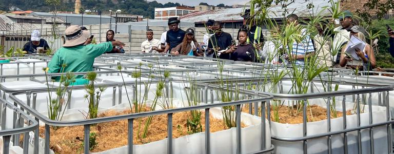 SUNCASA | Ecofilter System at Victoria Yards, Johannesburg