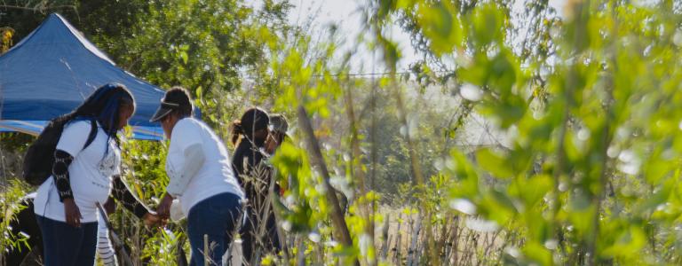 Two women stand by potted tree saplings during a tree planting event.