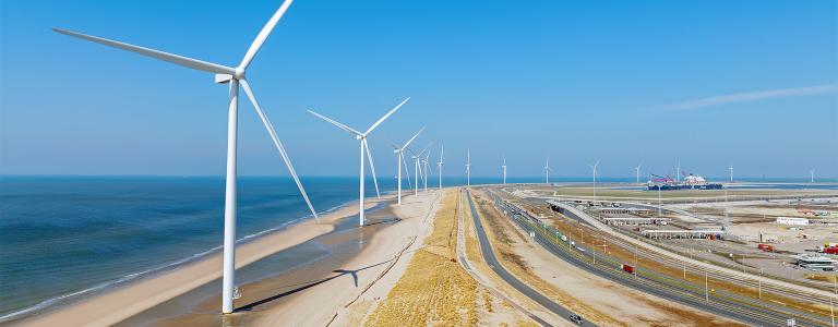 Wind turbines stand between the shoreline and a road