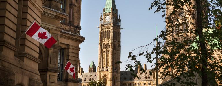 Canada flags fly around the parliament buildings