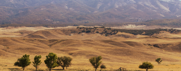  Cattle pasture at mountain base.png