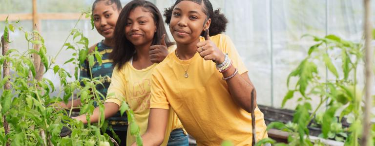 Three women giving thumbs ups standing in a greenhouse beside tomato plants.