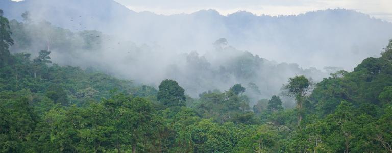Mountain view and fog after rain in the morning.
