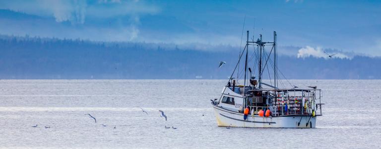 Fishing boat on grey ocean with hazy blue mountains in the background.