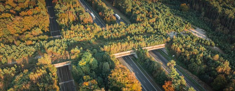 A wildlife crossing over a highway.