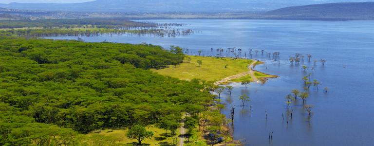 Aerial view of Lake Nakuru, Kenya, showing the lake and surrounding landscape.