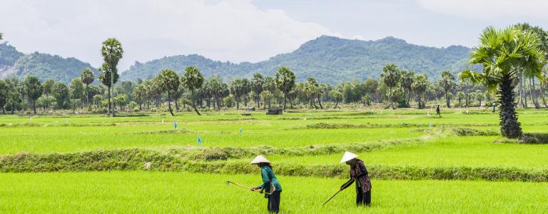 iStock_Cambodia_farming.jpg