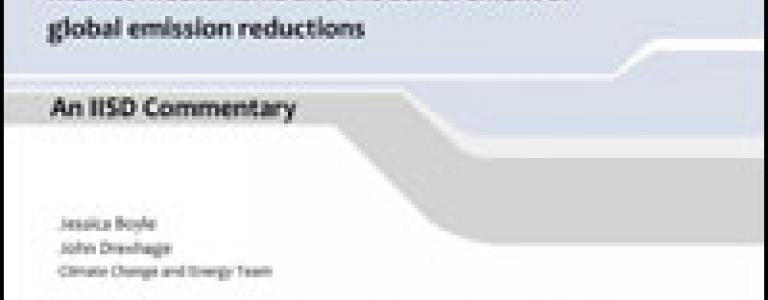 COP15_Commentary_Market_Mechanisms_Jessica_John.jpg
