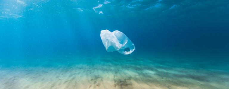Plastic bag in the ocean.jpg