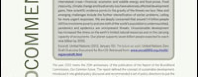 com_icts_discussion_rio20.jpg
