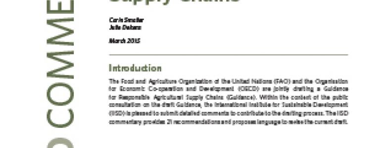 fao-oecd-guidance-responsible-agricultural-supply-chains-commentary.jpg