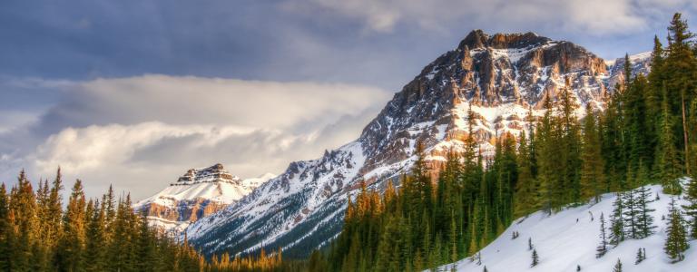 iStock_000060566798_Large.jpg
