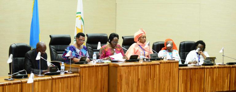 panel-ECOWAS.JPG