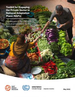 Cover image for the toolkit for engaging the private sector in NAPs