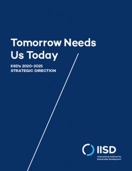 IISD cover for the 2020-2025 Strategic Direction 