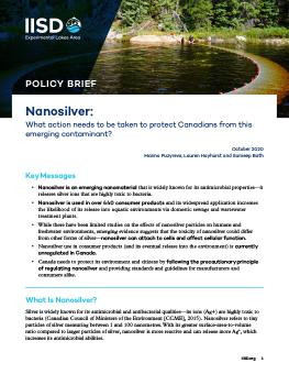 Nanosilver: What action needs to be taken to protect Canadians from this emerging contaminant?  cover
