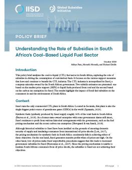 Cover of Understanding the Role of Subsidies in South Africa's Coal-Based Liquid Fuel Sector 