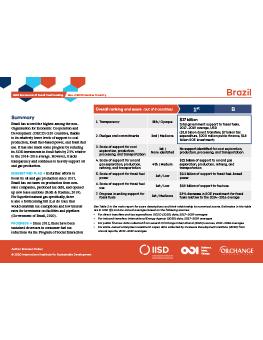 G20 Scorecard: Brazil