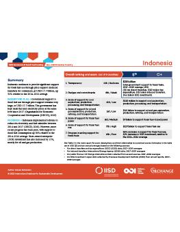G20 Scorecard: Indonesia
