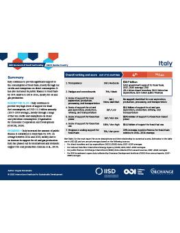 G20 Scorecard: Italy